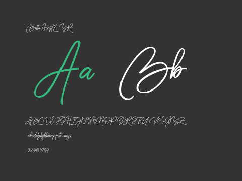 Bella Script CYR