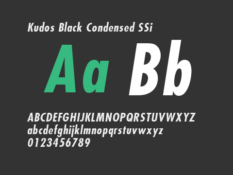 Kudos Black Condensed SSi