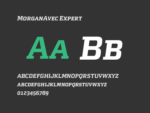 MorganAvec Expert