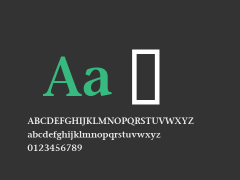 StoneSerif SCIN SmBd v.1