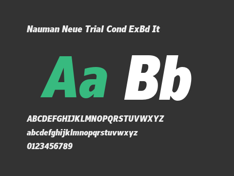 Nauman Neue Trial Cond ExBd It