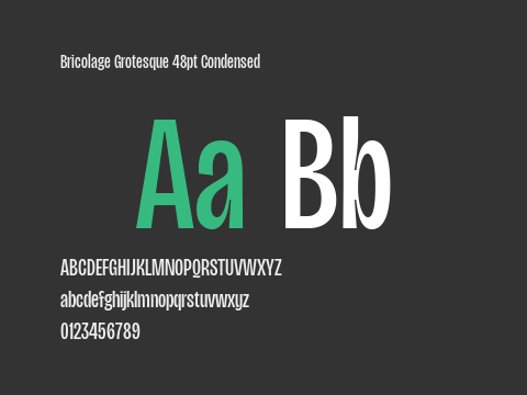 Bricolage Grotesque 48pt Condensed