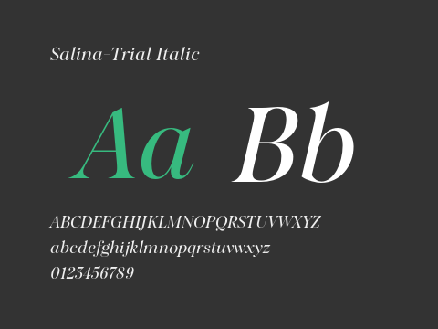 Salina-Trial Italic