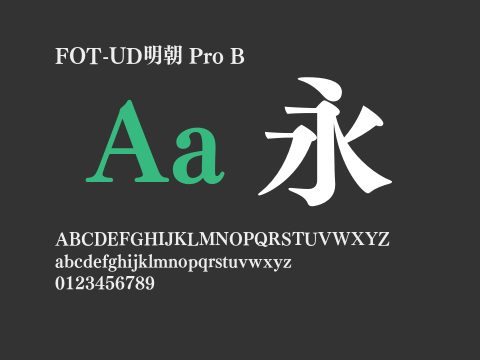 FOT-UD明朝 Pro B