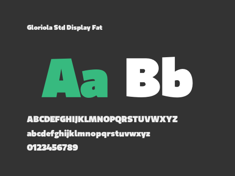 Gloriola Std Display Fat