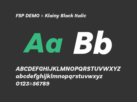 FSP DEMO - Klainy Black Italic