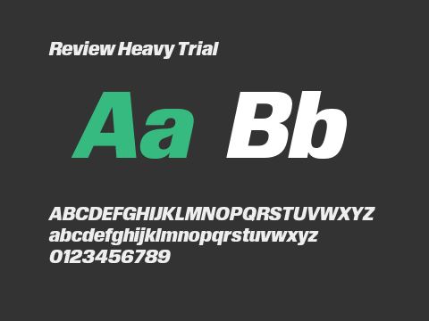 Review Heavy Trial