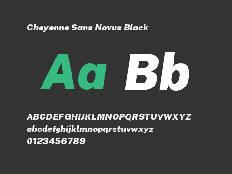 Cheyenne Sans Novus Black