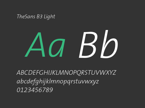 TheSans B3 Light