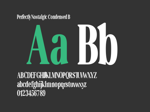 Perfectly Nostalgic Condensed B