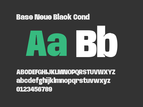 Base Neue Black Cond