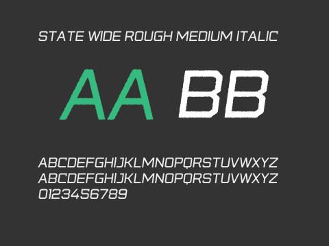 State Wide Rough Medium Italic