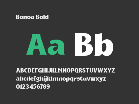 Benoa Bold