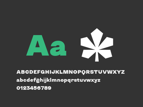 KyivType Sans Black