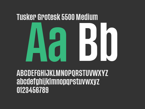 Tusker Grotesk 5500 Medium