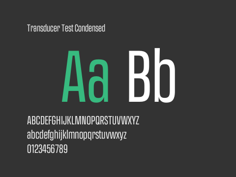 Transducer Test Condensed