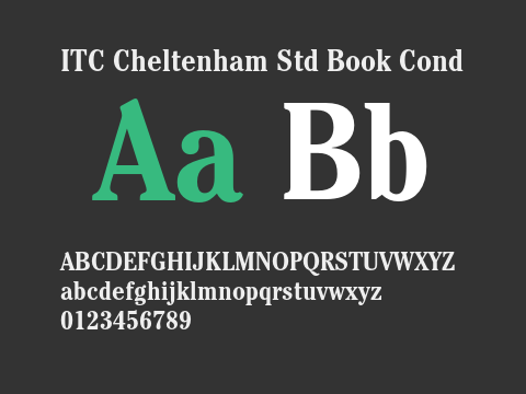 ITC Cheltenham Std Book Cond