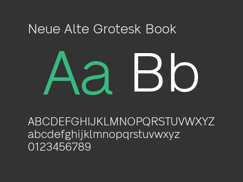 Neue Alte Grotesk Book