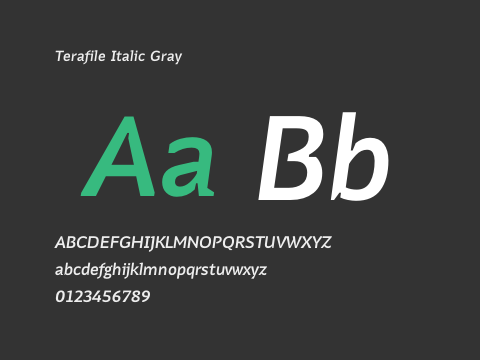 Terafile Italic Gray