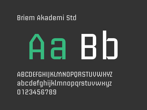 Briem Akademi Std