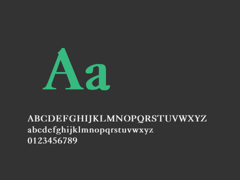 Caslon-Light Bold