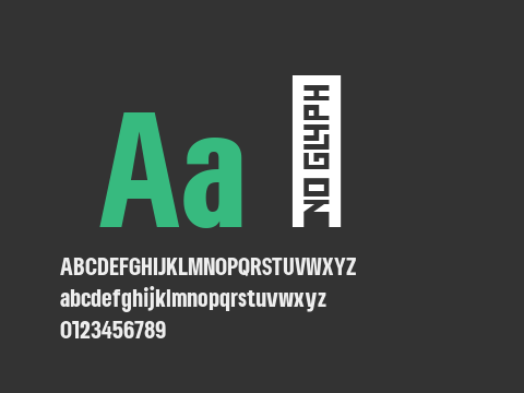 Lama Sans Black Condensed