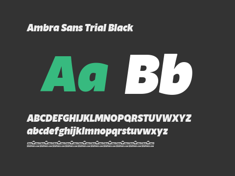 Ambra Sans Trial Black