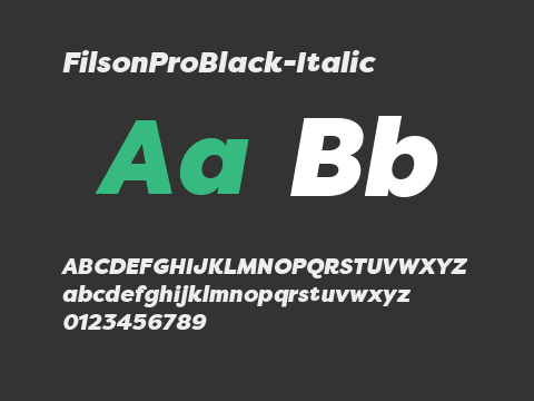 FilsonProBlack-Italic