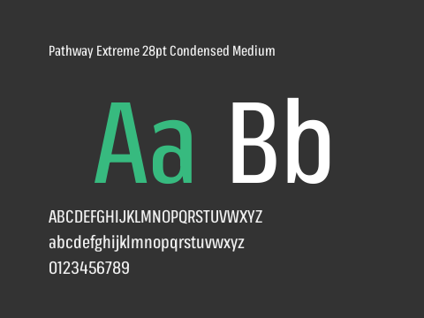 Pathway Extreme 28pt Condensed Medium