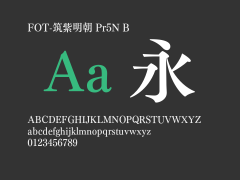 FOT-筑紫明朝 Pr5N B