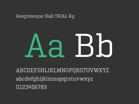 Geogrotesque Slab TRIAL Rg