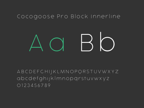 Cocogoose Pro Block Innerline