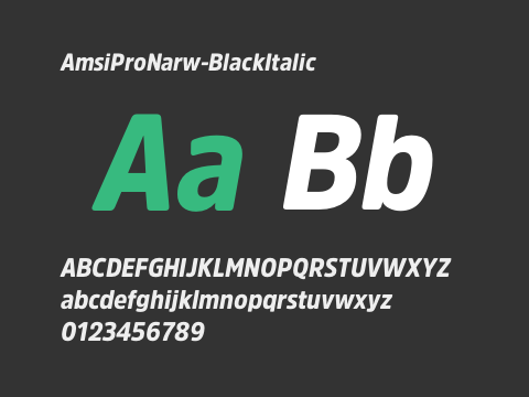 AmsiProNarw-BlackItalic