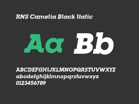 RNS Camelia Black Italic