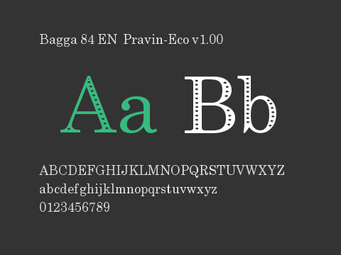 Bagga 84 EN  Pravin-Eco v1.00