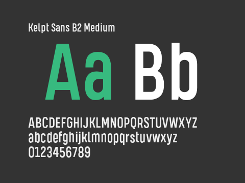 Kelpt Sans B2 Medium