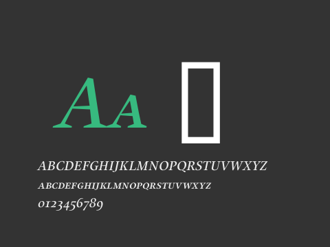 Alias UnionSC Medium Italic