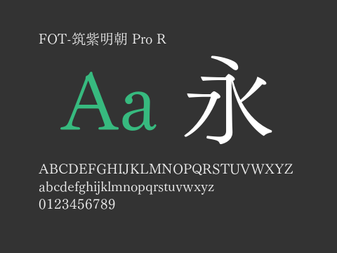 FOT-筑紫明朝 Pro R