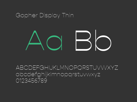 Gopher Display Thin