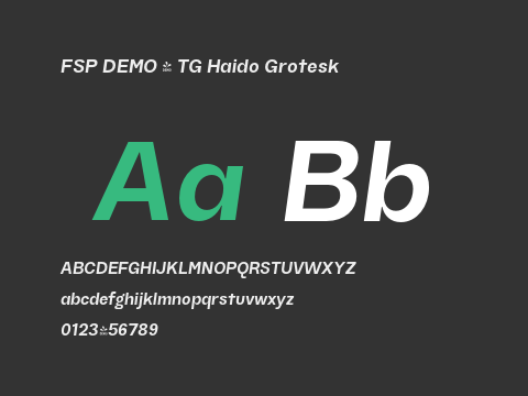 FSP DEMO - TG Haido Grotesk