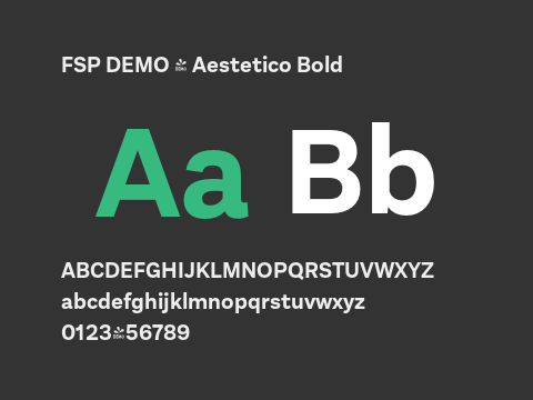 FSP DEMO - Aestetico Bold