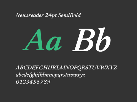 Newsreader 24pt SemiBold