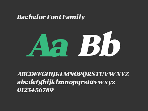 Bachelor Font Family