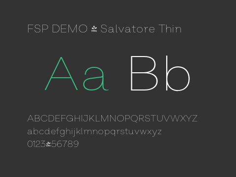 FSP DEMO - Salvatore Thin