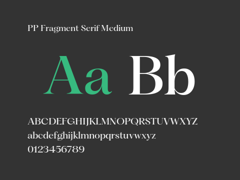 PP Fragment Serif Medium