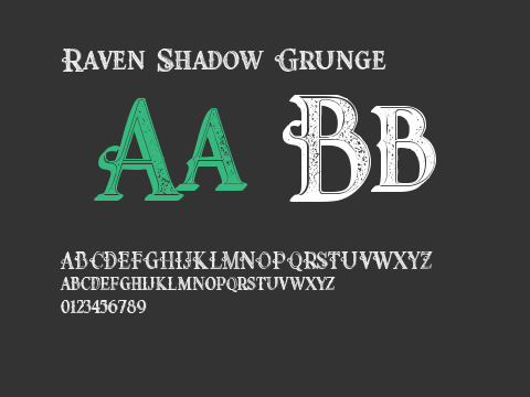 Raven Shadow Grunge