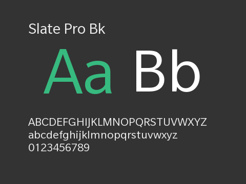 Slate Pro Bk