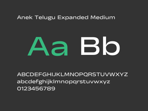 Anek Telugu Expanded Medium