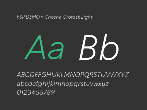 FSP DEMO - Chesna Grotesk Light