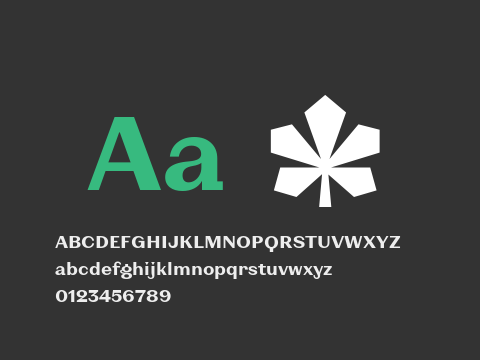 KyivType Sans Heavy2